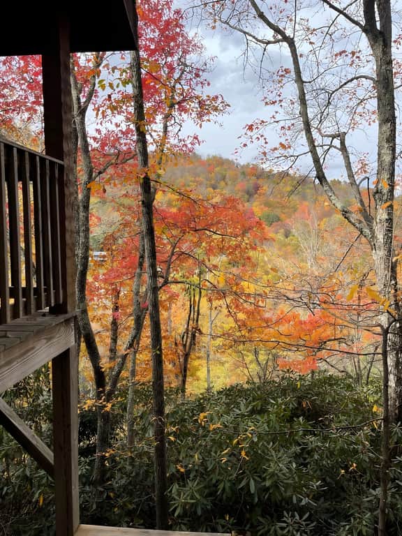 Seven Devils Mountain Cabin